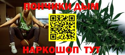 индика Гай