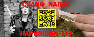 индика Гай