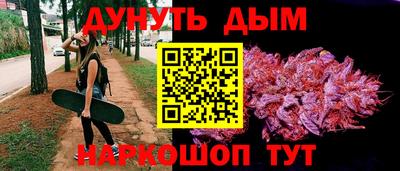 индика Гай