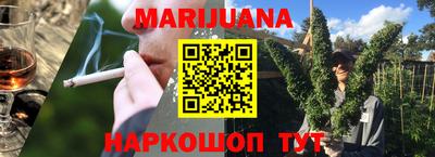 индика Гай