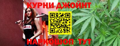индика Гай