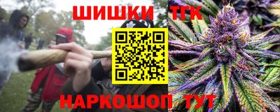 индика Гай