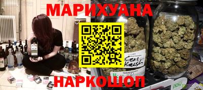 индика Гай
